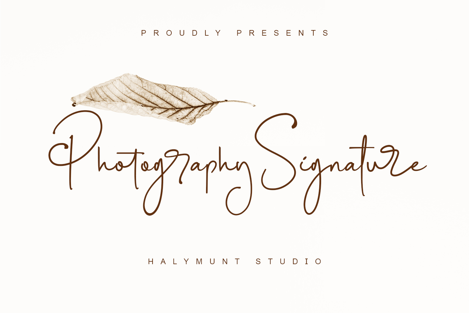 Photography Signature