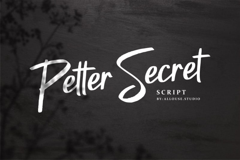 Petter Secret Demo Version