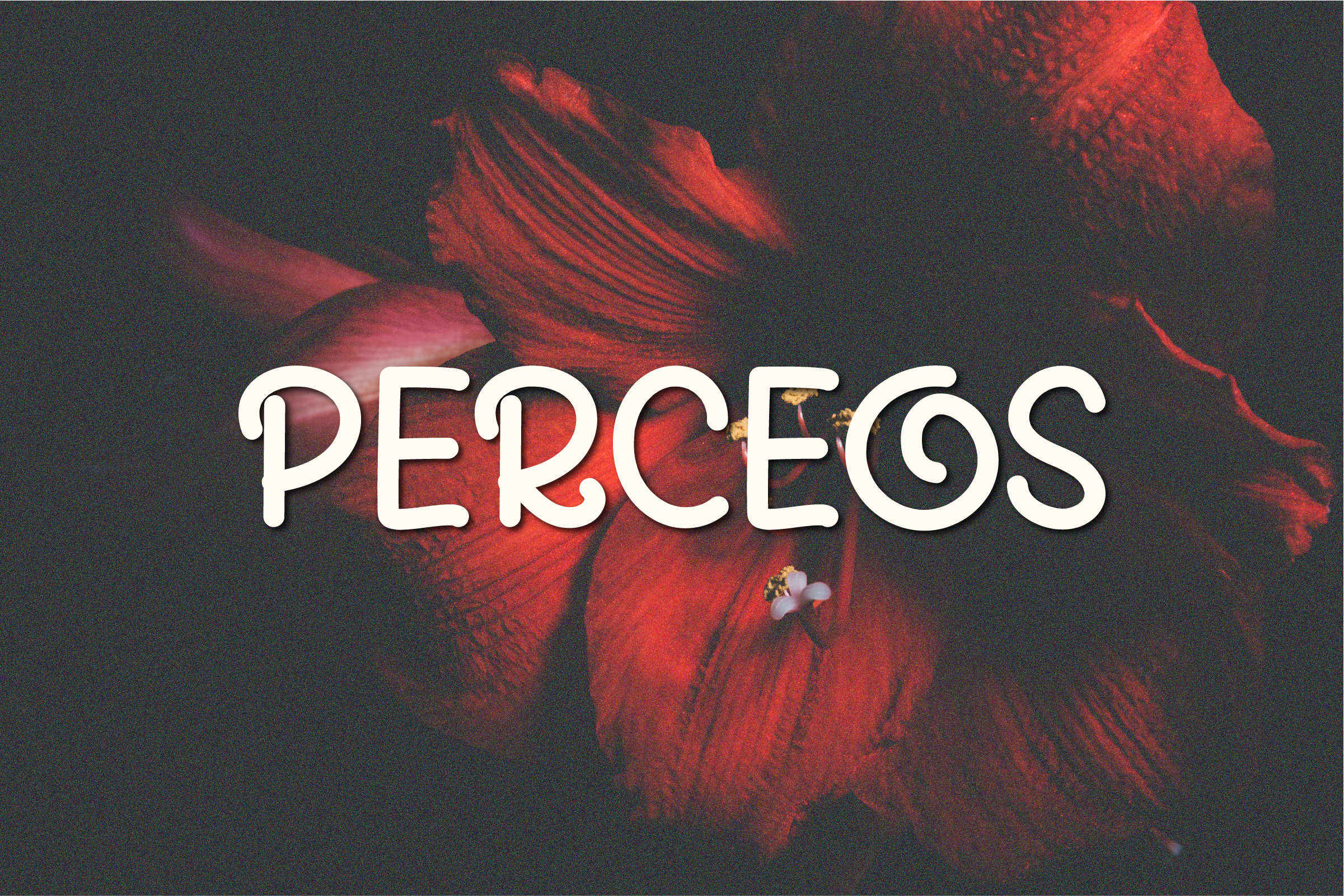 Perceos