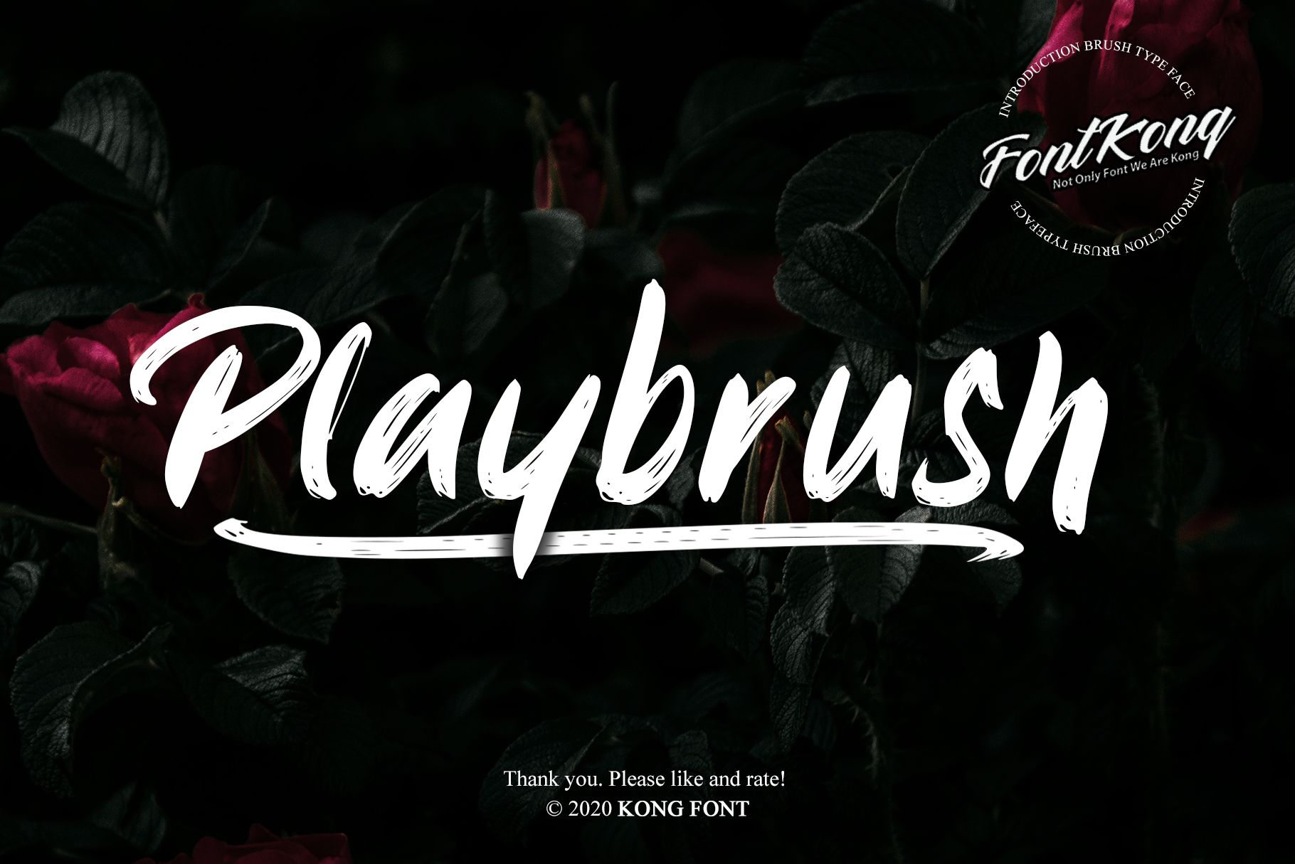 Playbrush Swash