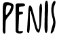 Penis