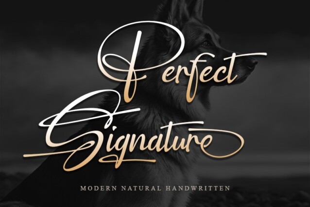 Perfect Signature - Personal us
