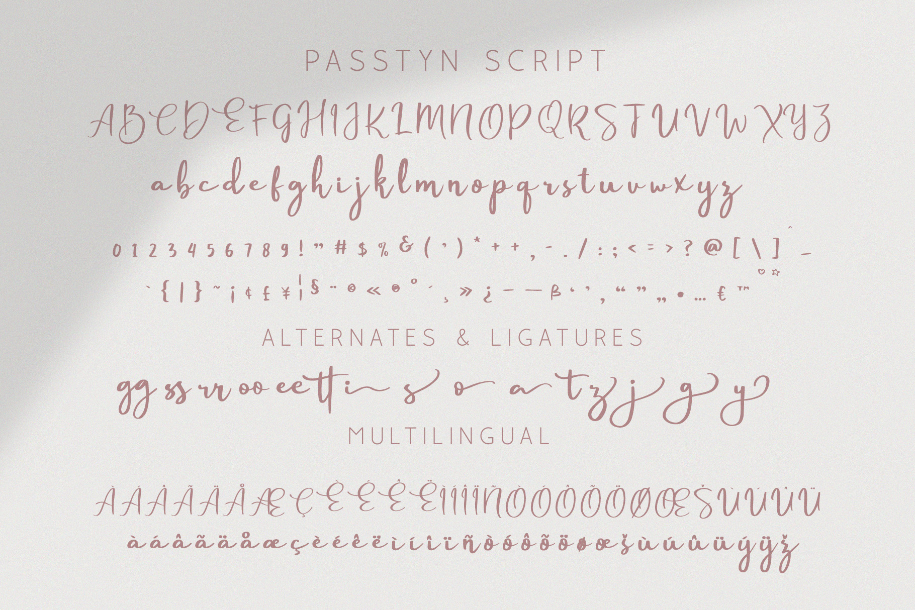 Passtyn Sans