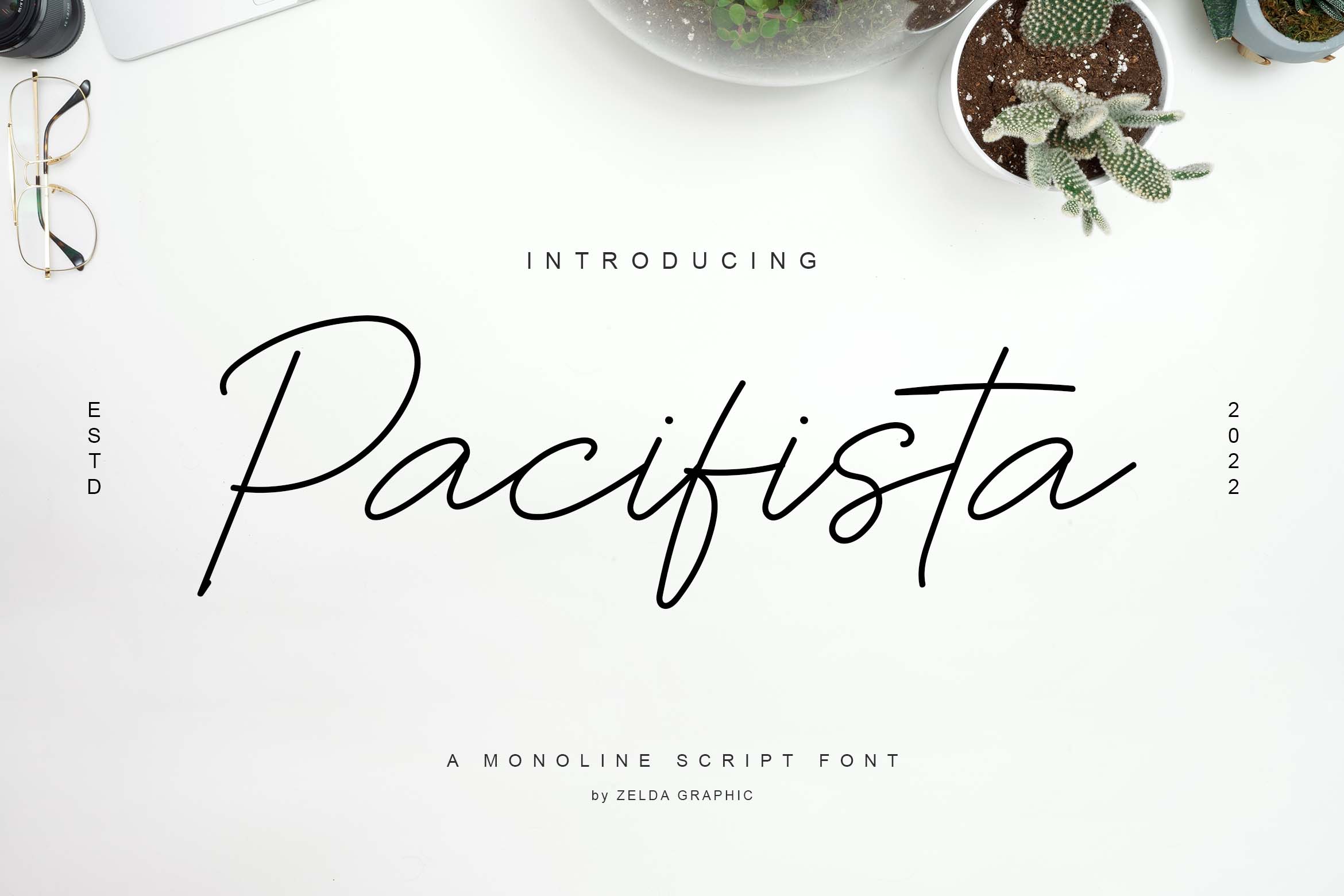 Pacifista