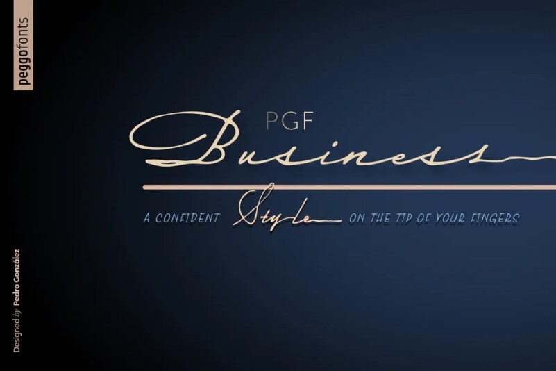 FSP DEMO - PGF-Business A-Light