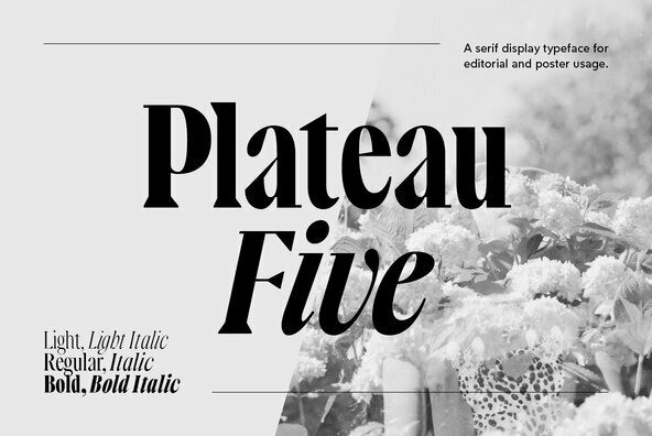 Plateau Five