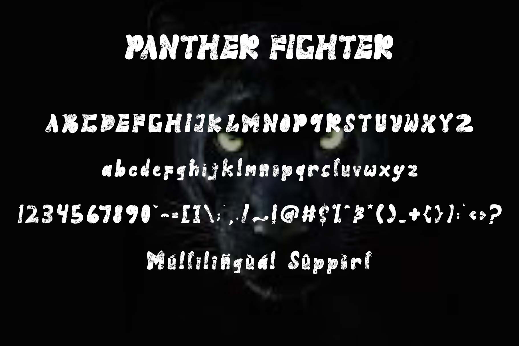 Panther Fighter