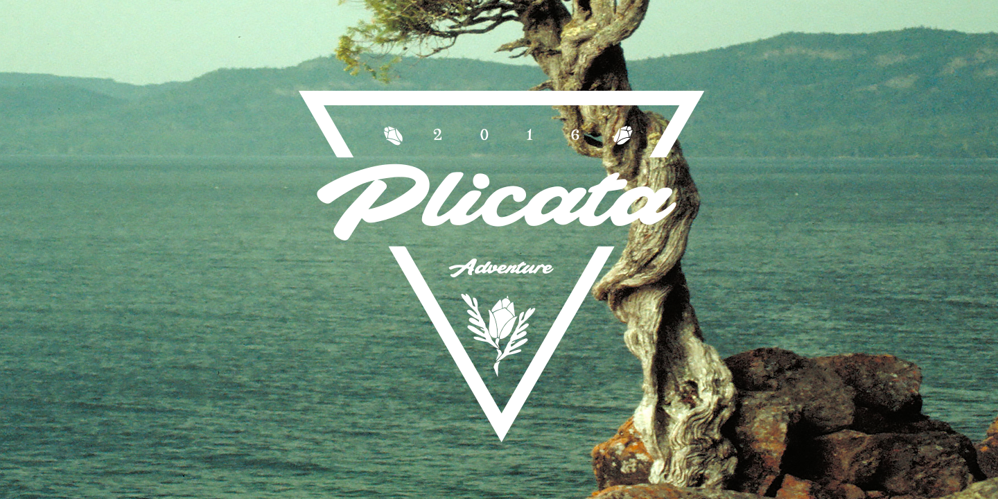 Plicata