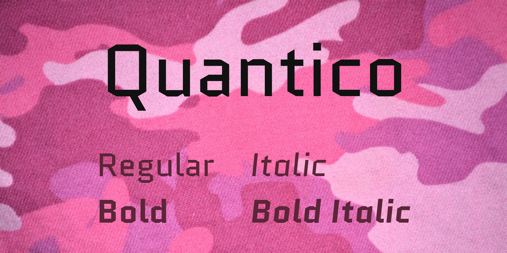 Quantico