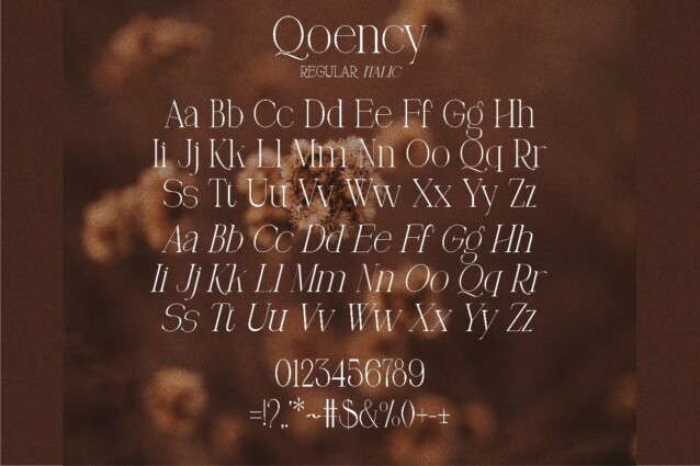 Qoency Demo
