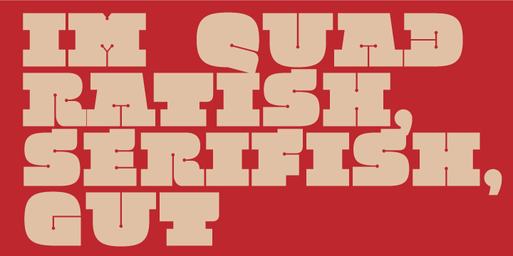 QuadratishSerif