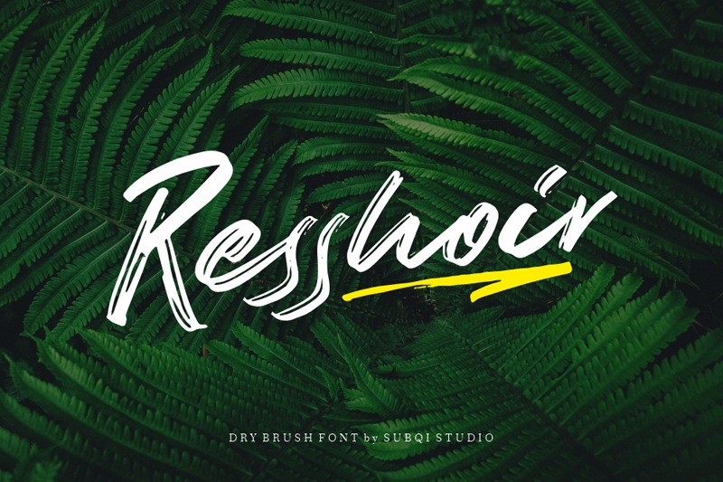 Resshoir Regular