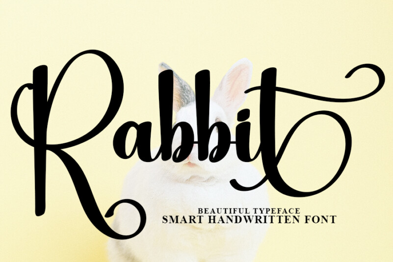 Rabbit