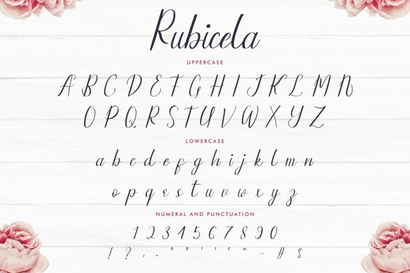 Rubicela Demo