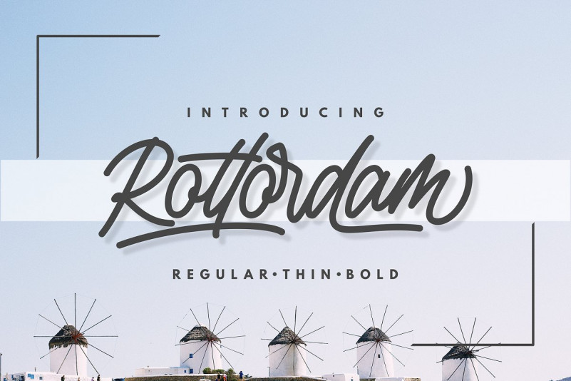 Rottordam FREE