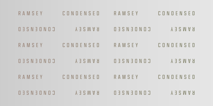 RamseyCondensed-BlackItalic