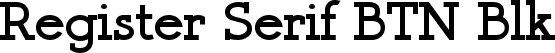 Register Serif BTN Blk