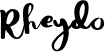 Rheydo brush