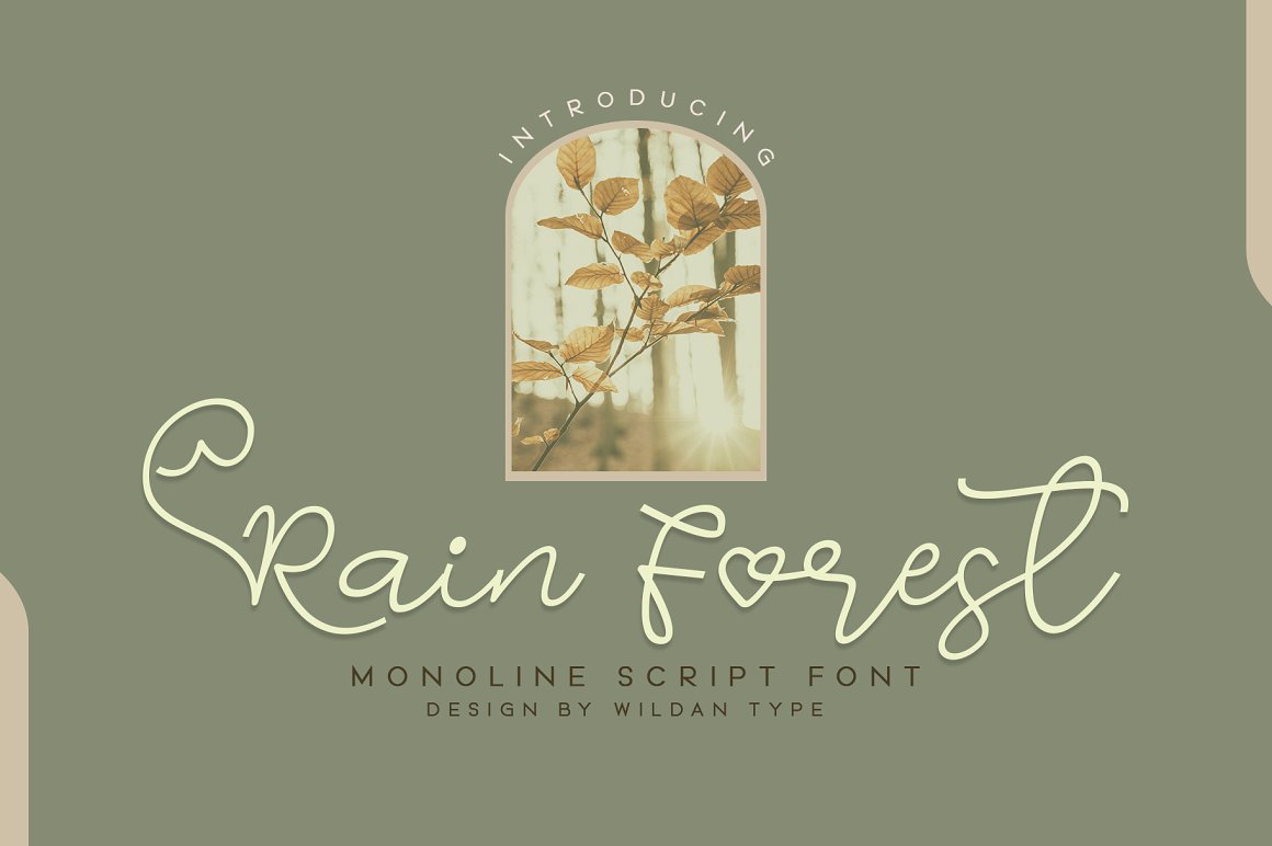 Rain Forest Script