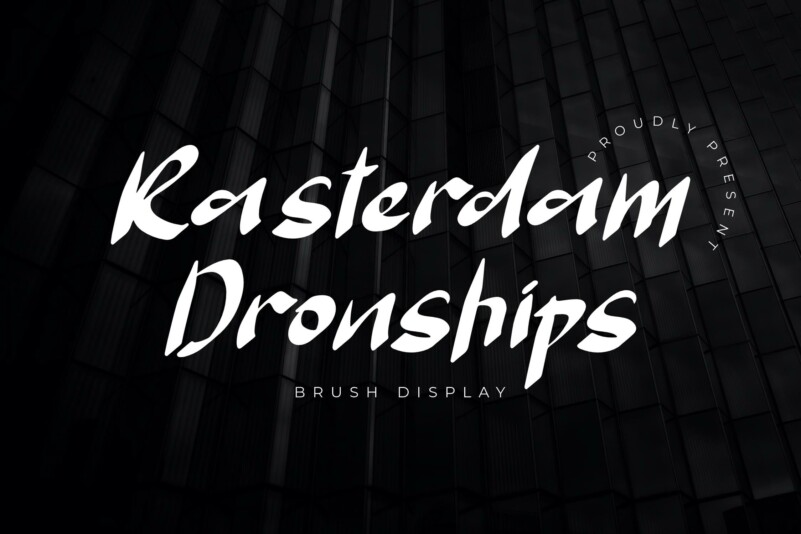 Rasterdam Dronships