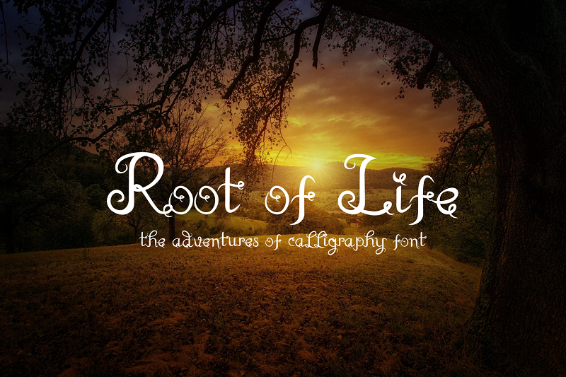 Root Of Life