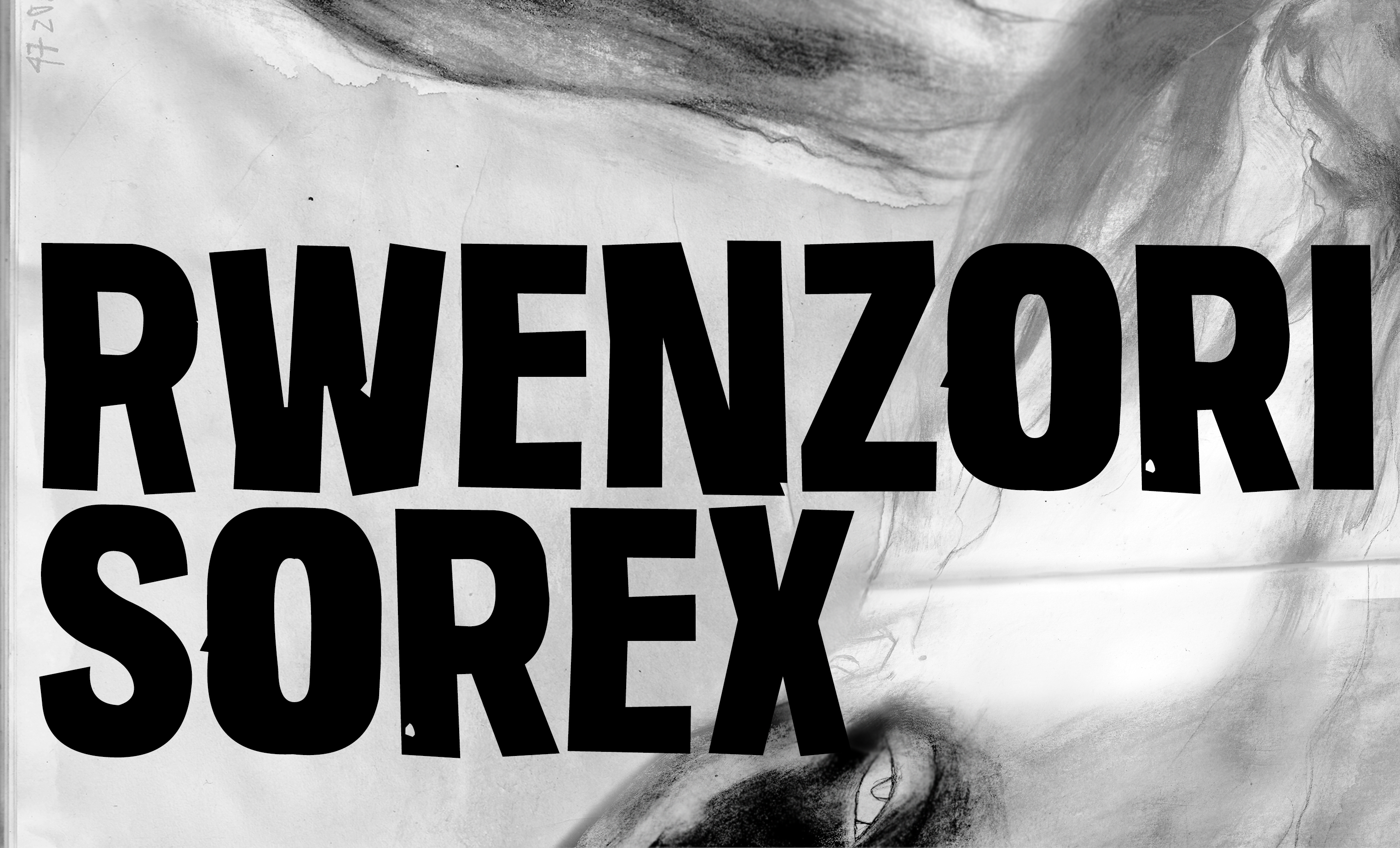 Rwenzori Sorex