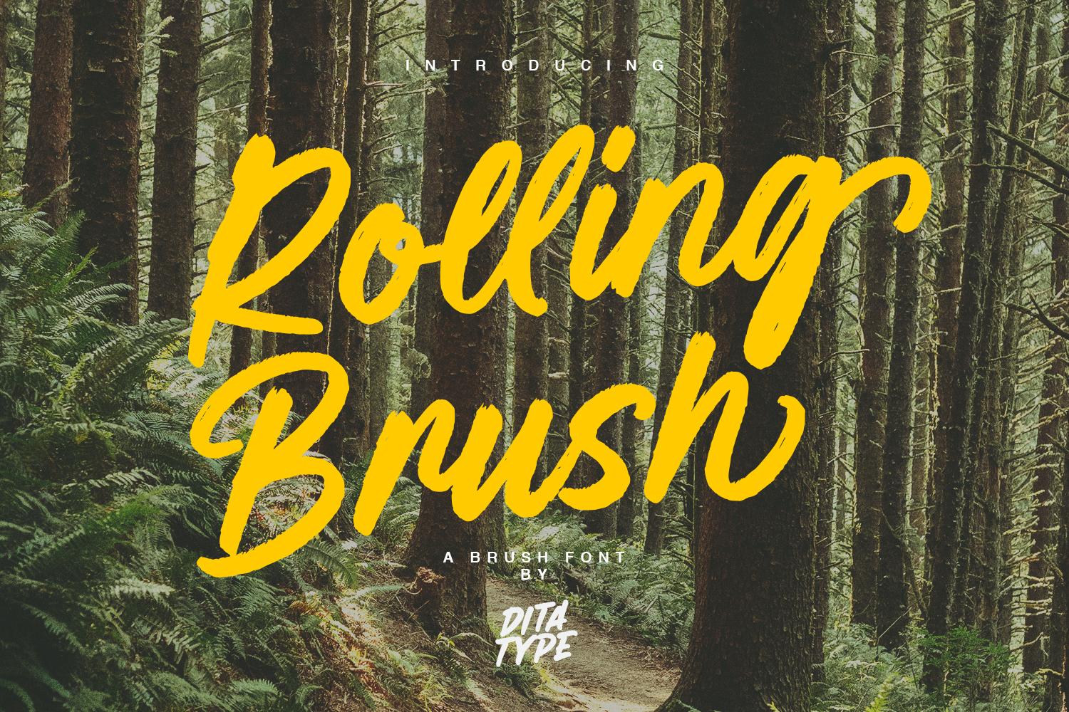 Rolling Brush