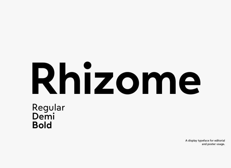 Rhizome