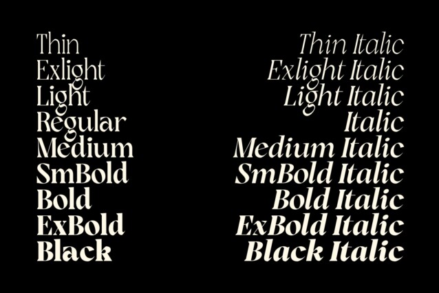 Rogik Black Italic