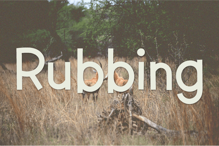 Rubbing