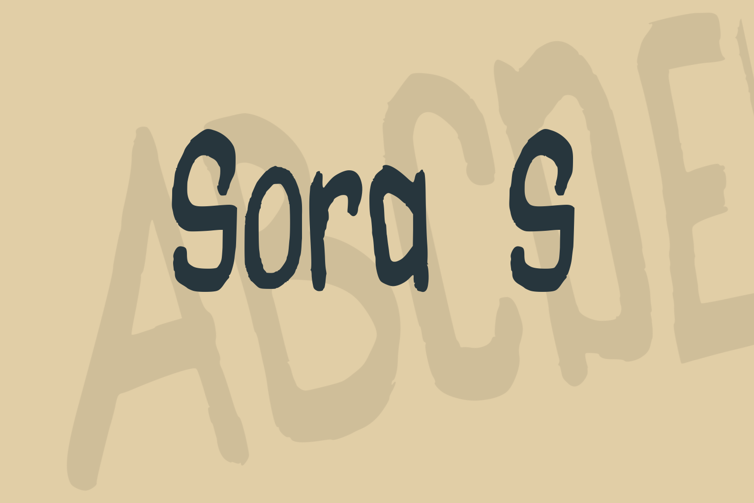 Sora S