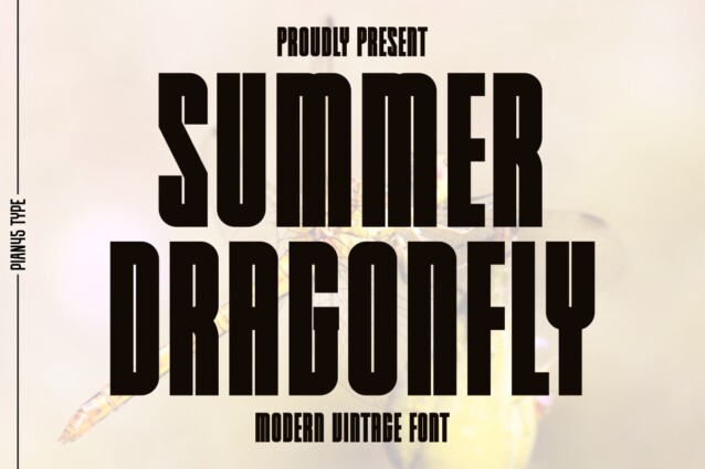 Summer Dragonfly