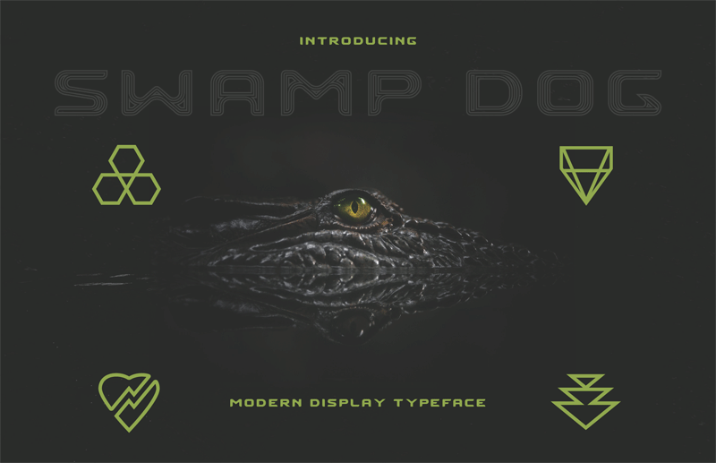 SwampDog