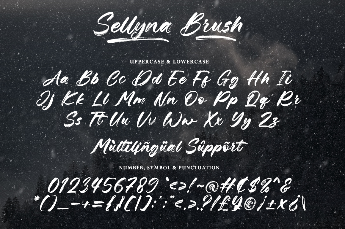 Sellyna Brush