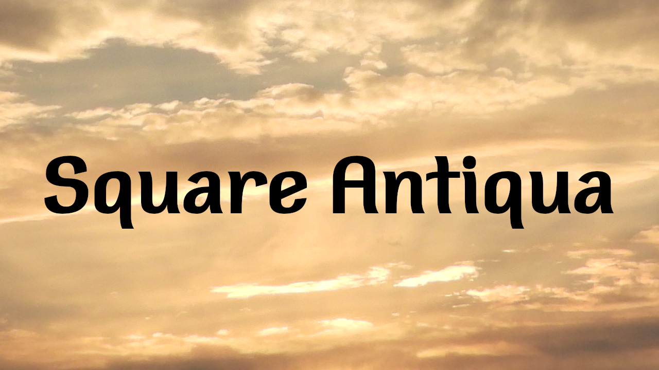 Square Antiqua