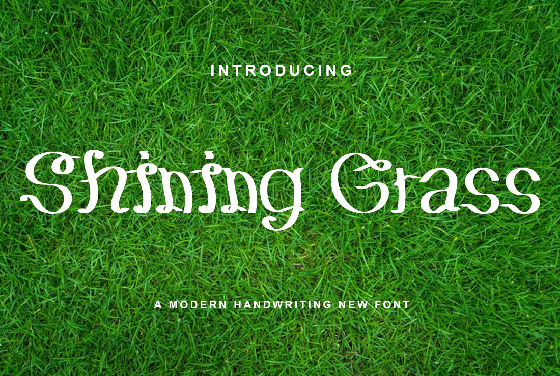 Shining Grass