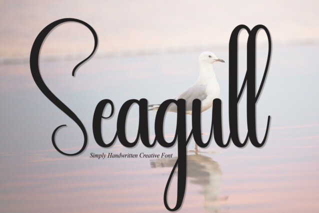 Seagull