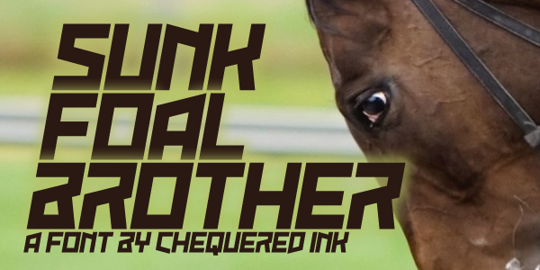 Sunk Foal Brother
