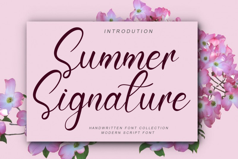 Summer  Signature