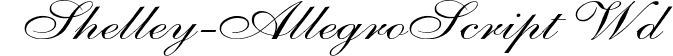 Shelley-AllegroScript Wd