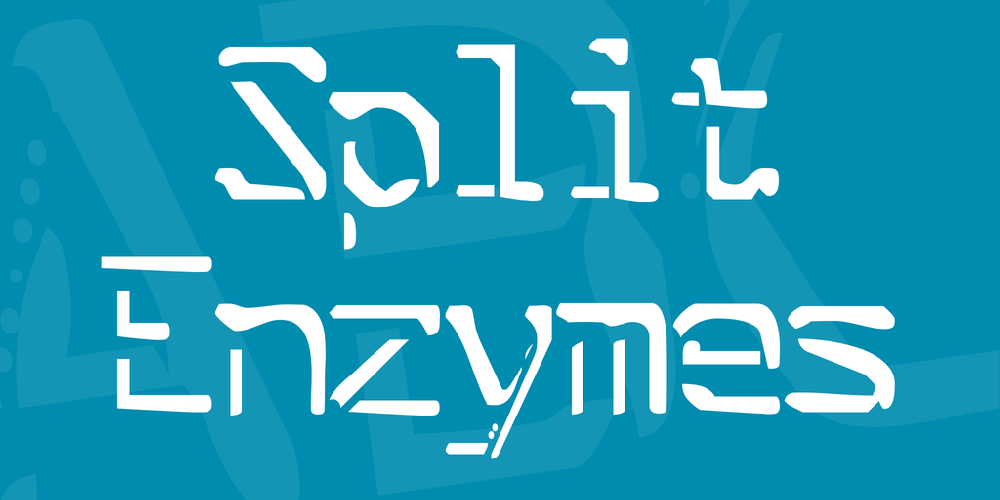 Split Enzymes