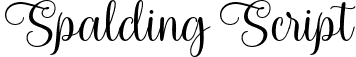 Spalding Script