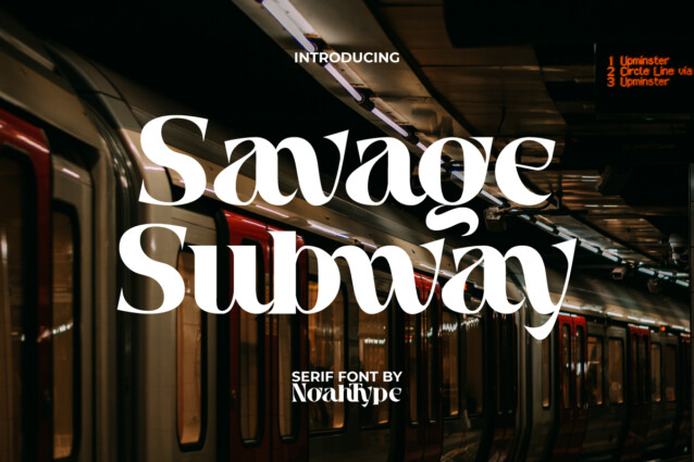 SavageSubwayDemo