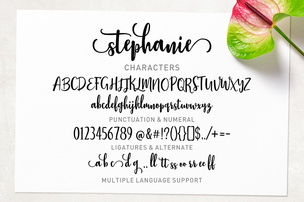 Stephanie Script