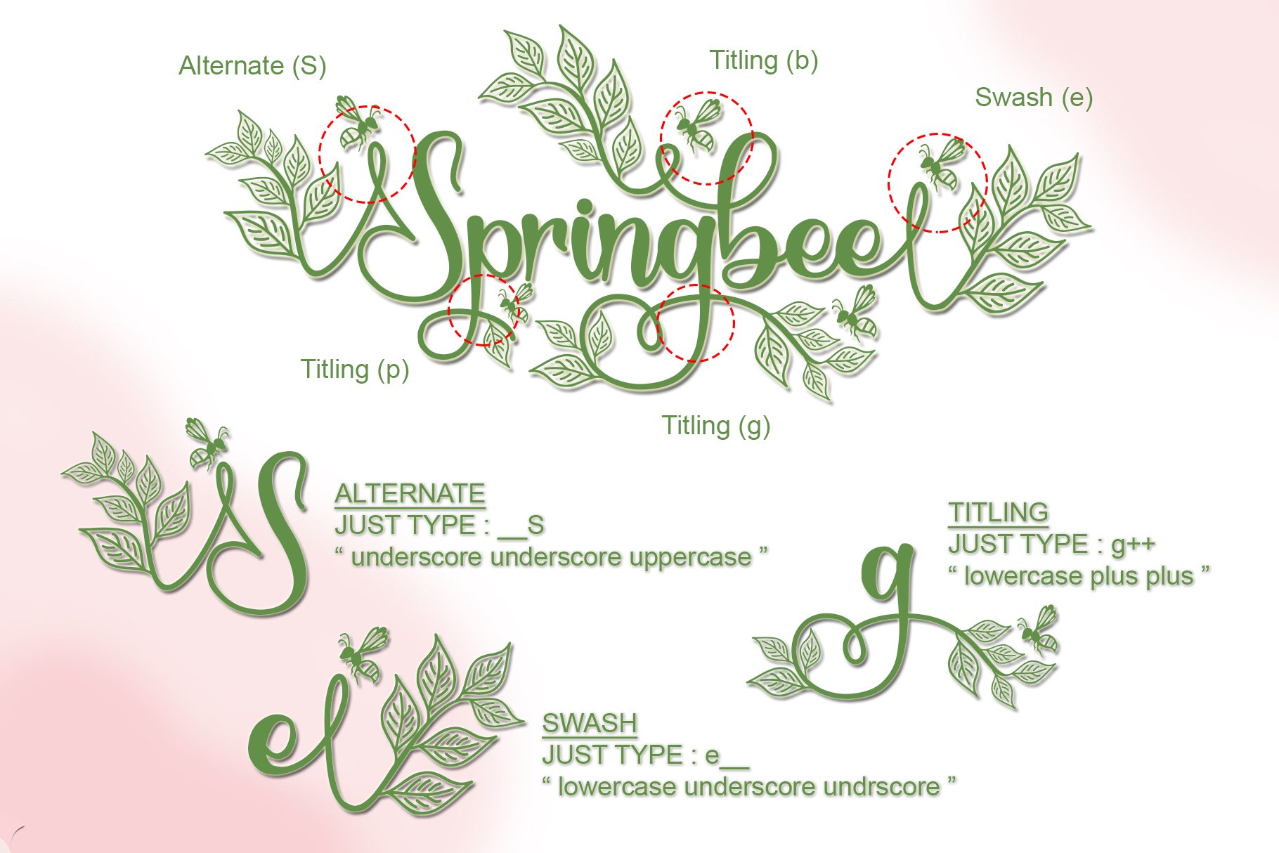 Springbee - Personal Use