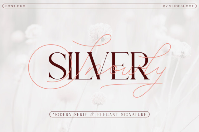 Silver Snowly