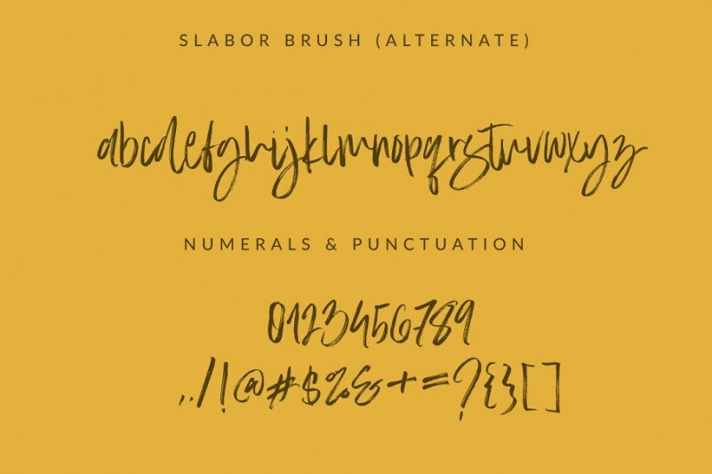 Slabor Brush