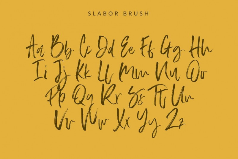 Slabor Brush