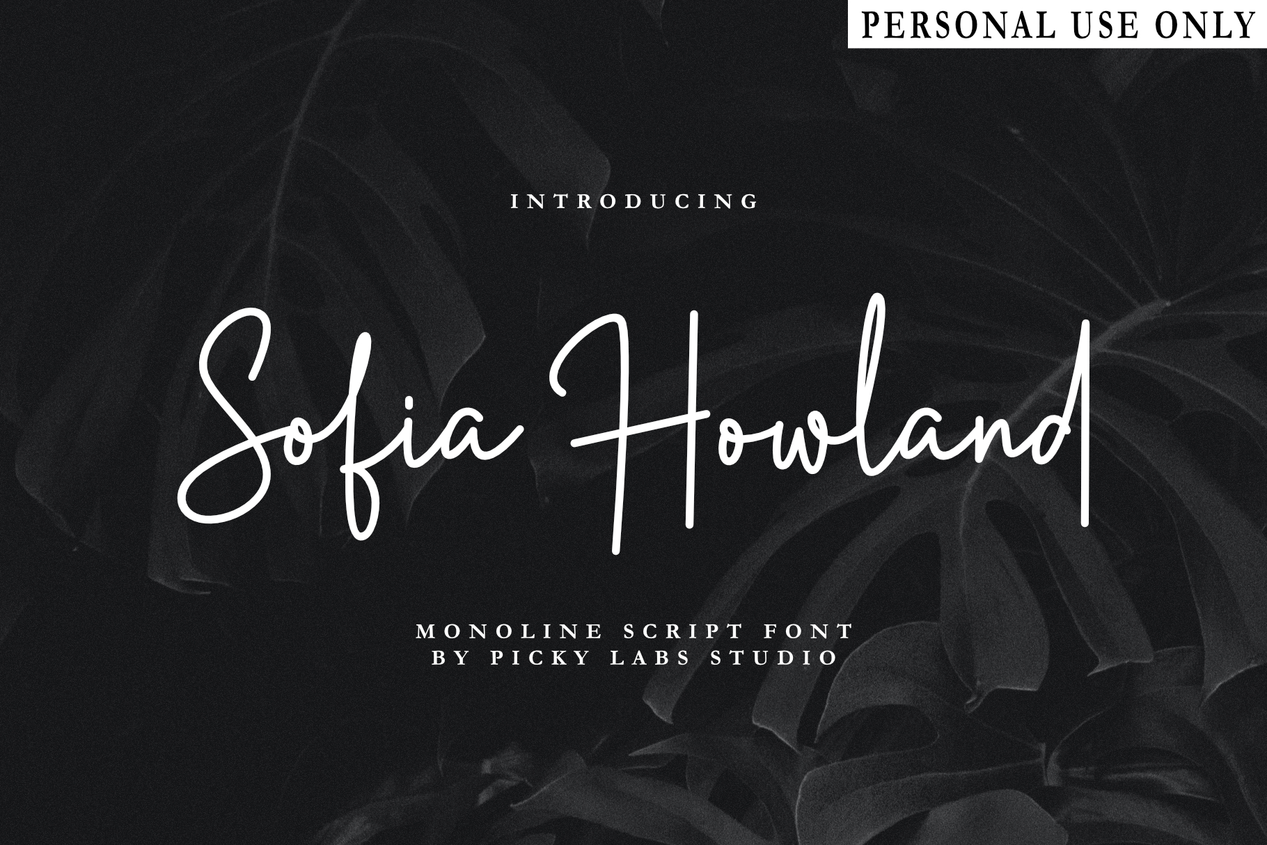 Sofia Howland DEMO! DEMO!