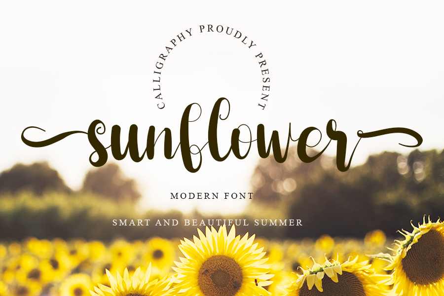 Sunflower